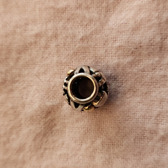 Pandora Family Forever Charm - Picture 9 of 9